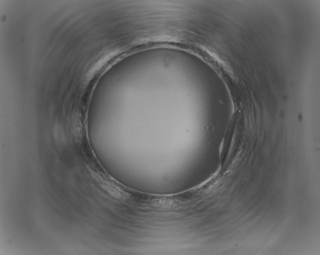 X0000070191266200606021048