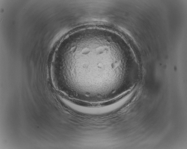 X0000070191267200606021048