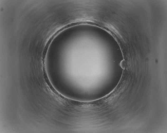 X0000070191268200606021048