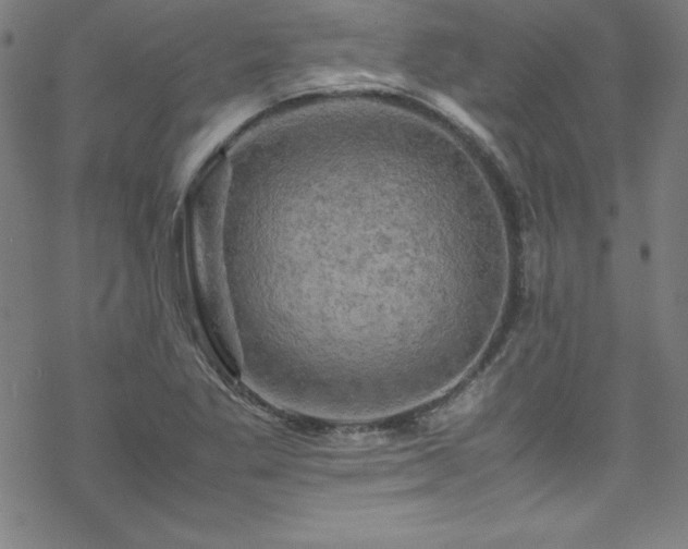 X0000070191269200606021048