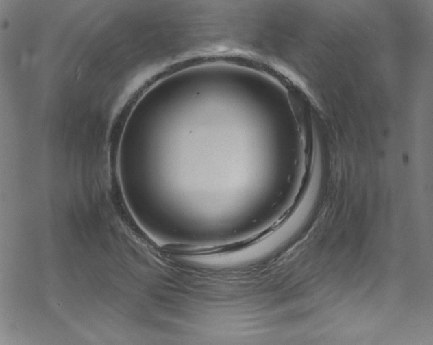 X0000070191270200606021048