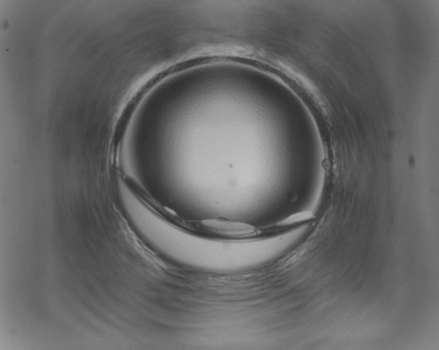 X0000070191272200606021048