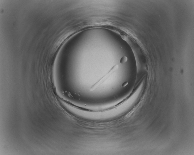 X0000070191273200606021048