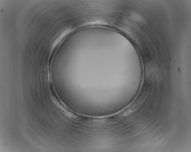 X0000070191274200606021048