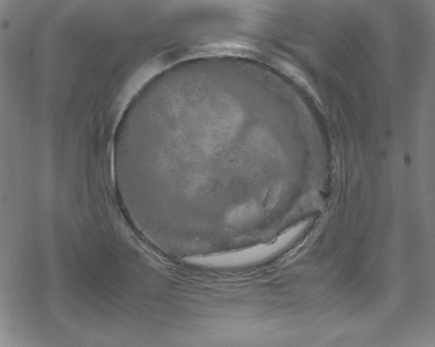 X0000070191275200606021048