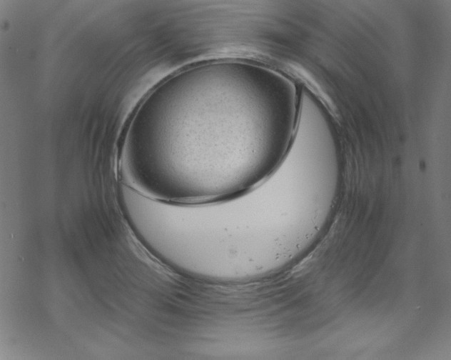 X0000070191276200606021048