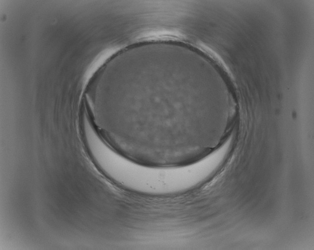 X0000070191277200606021048