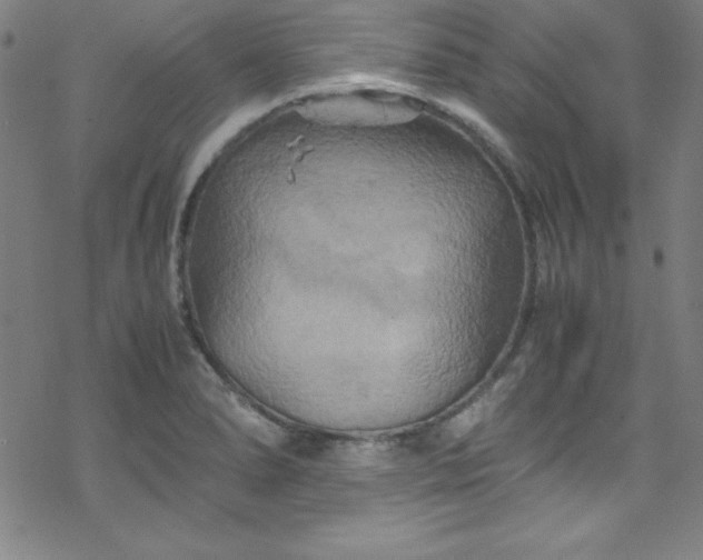 X0000070191278200606021048