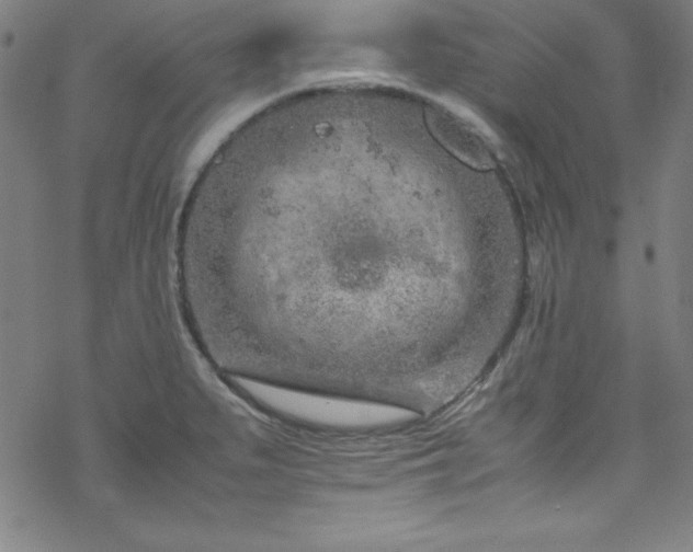 X0000070191279200606021048