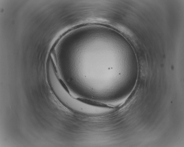 X0000070191280200606021048