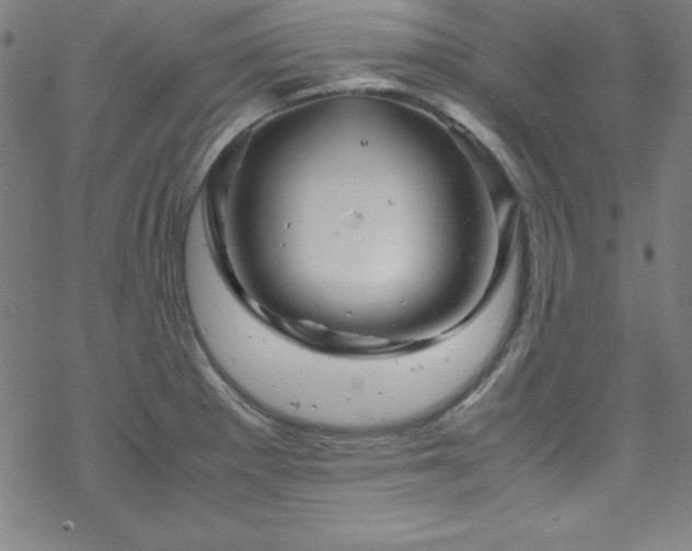 X0000070191281200606021048