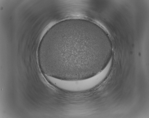 X0000070191283200606021048