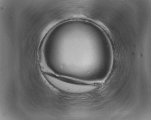 X0000070191287200606021048