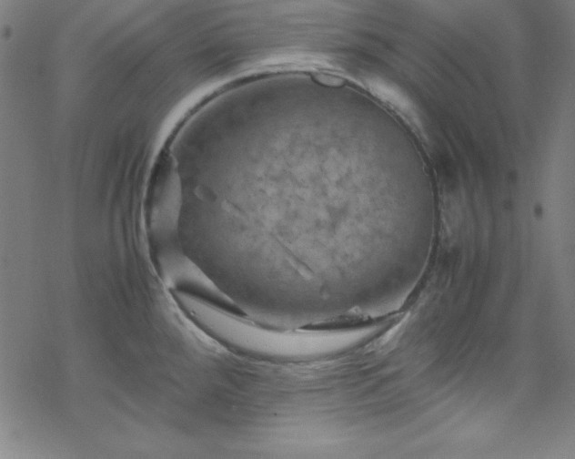 X0000070191288200606021048