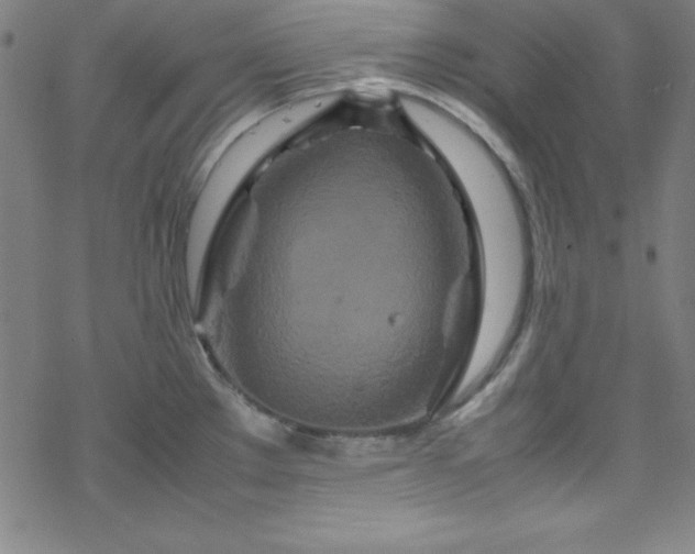 X0000070191289200606021048