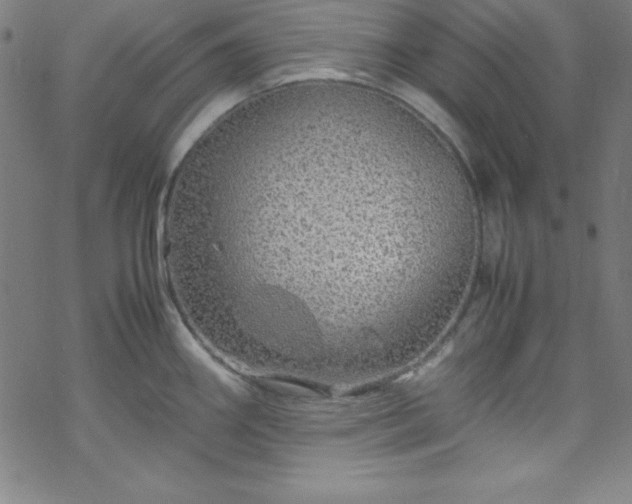 X0000070191290200606021048