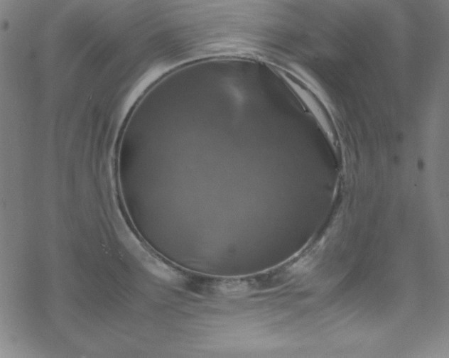 X0000070191291200606021048