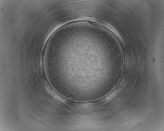 X0000070191292200606021048