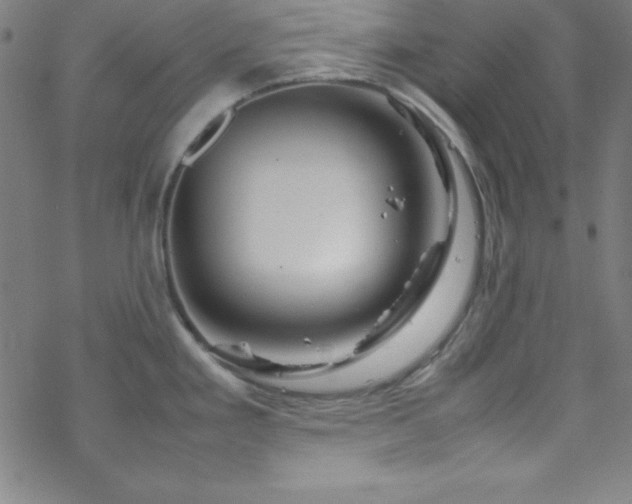 X0000070191293200606021048