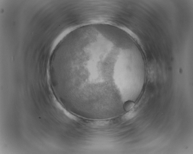 X0000070191294200606021048