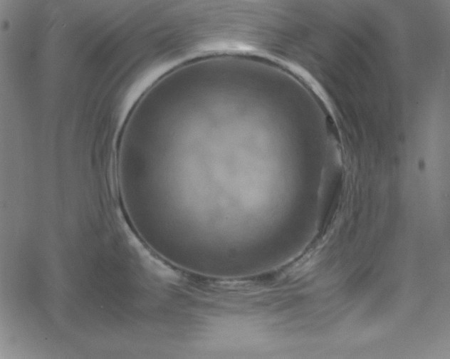 X0000070191295200606021048