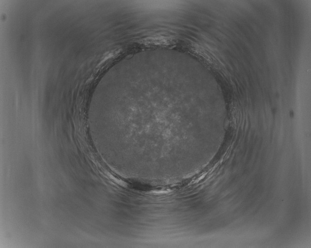 X0000070191297200606021047