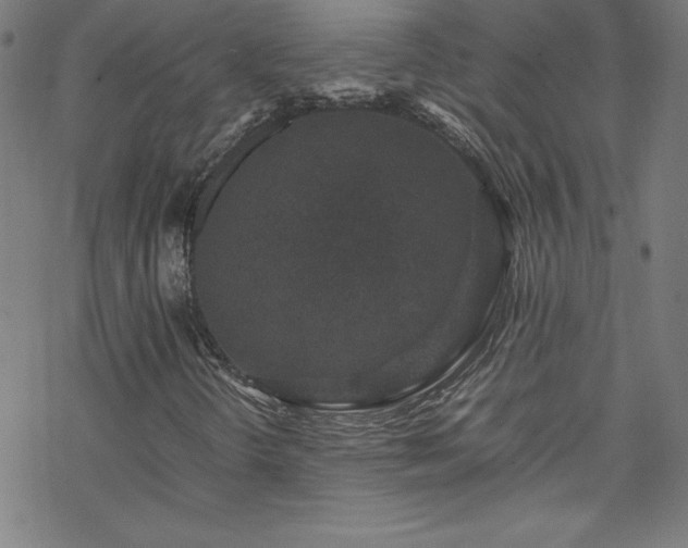 X0000070191298200606021047