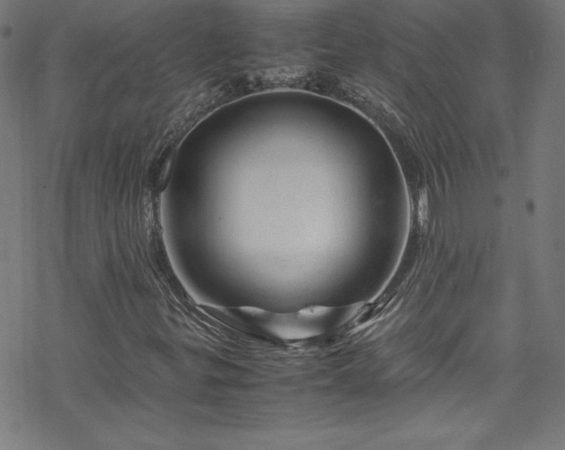 X0000070191299200606021047