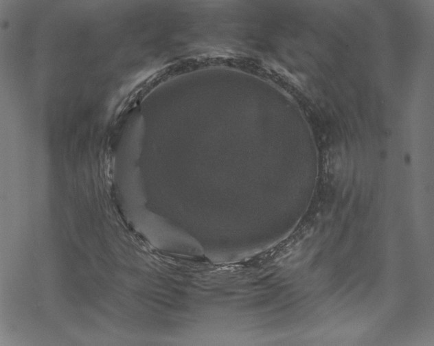 X0000070191303200606021047