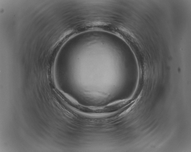 X0000070191305200606021047