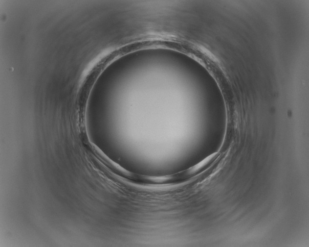 X0000070191310200606021047