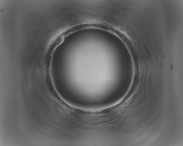 X0000070191311200606021047