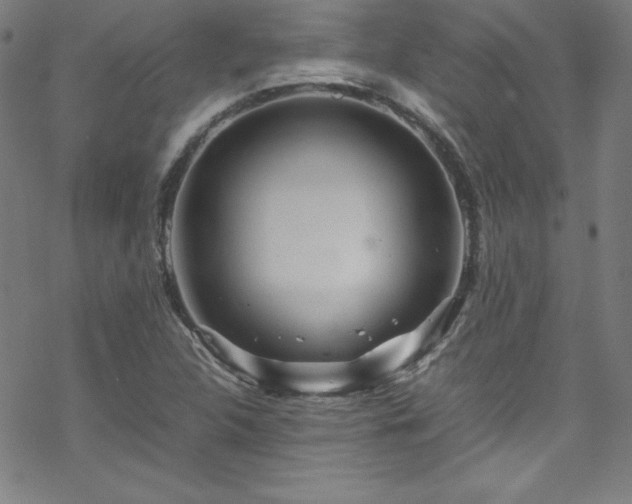 X0000070191312200606021047