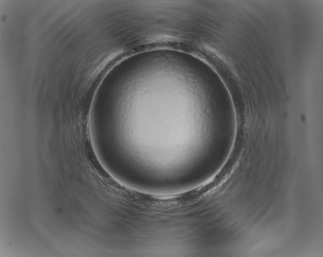 X0000070191313200606021047