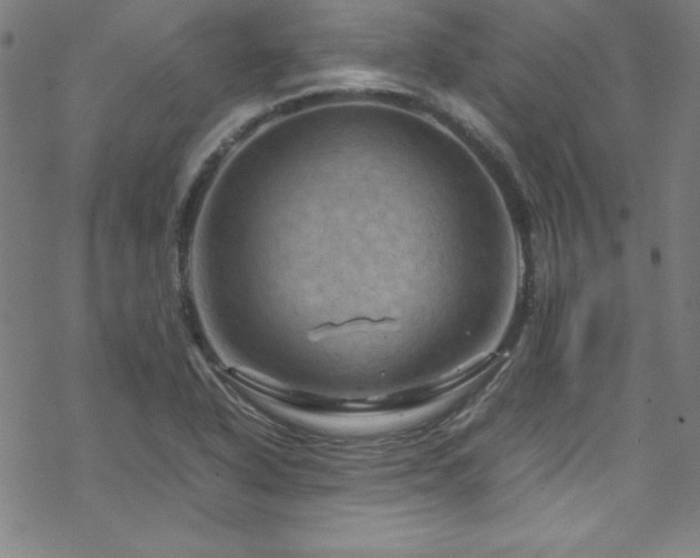 X0000070191318200606021047