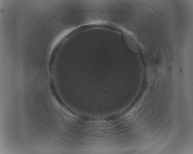 X0000070191319200606021047