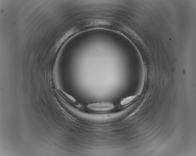 X0000070191321200606021047