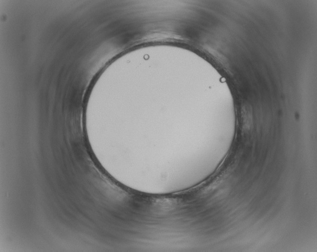 X0000070191322200606021047