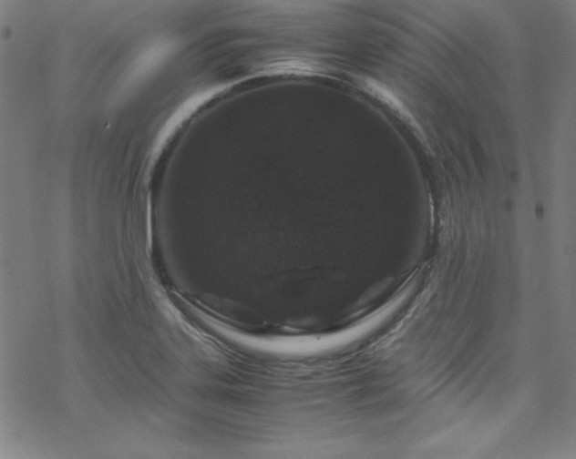 X0000070191323200606021047