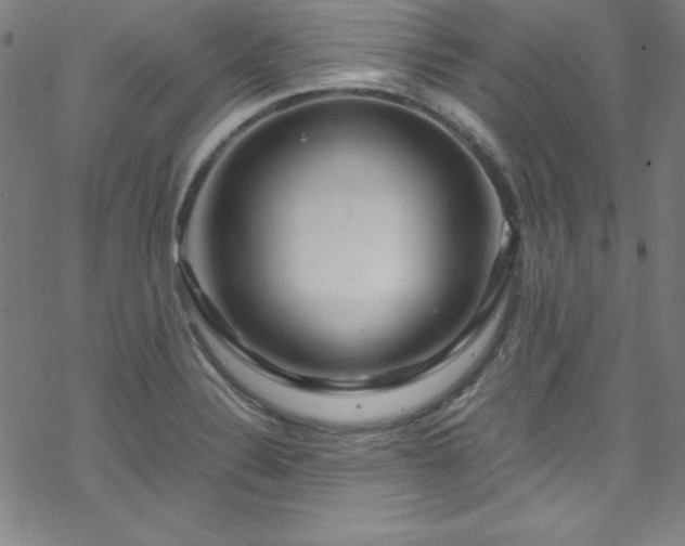 X0000070191324200606021047