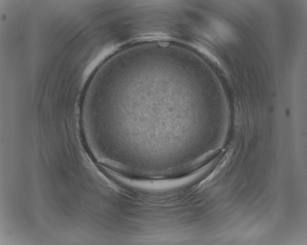 X0000070191325200606021047