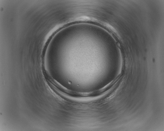 X0000070191326200606021047