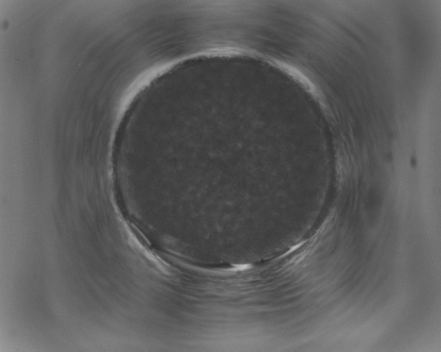 X0000070191327200606021047