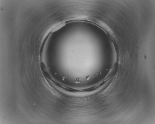 X0000070191332200606021048