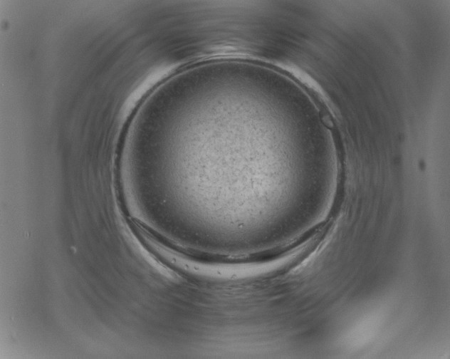 X0000070191333200606021048