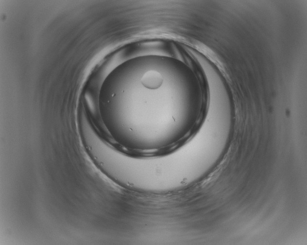 X0000070191334200606021048