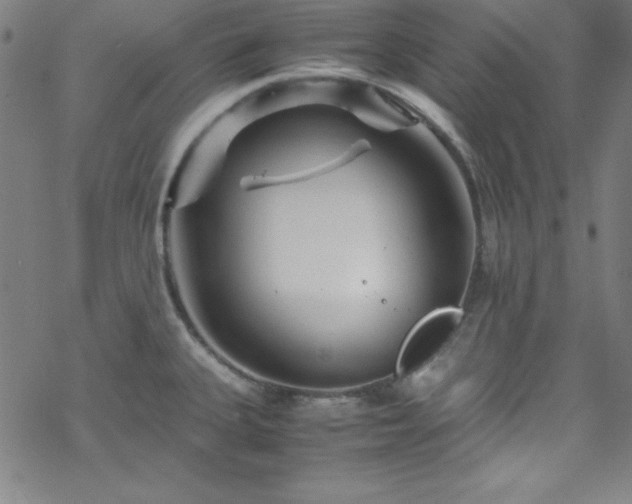 X0000070191335200606021048