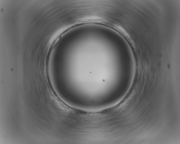 X0000070191336200606021048