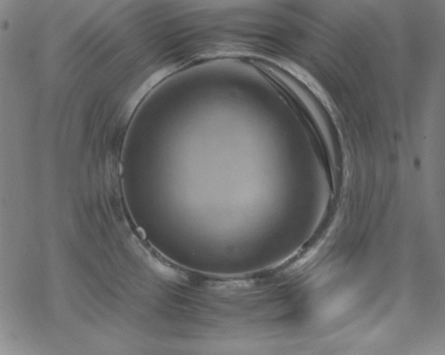 X0000070191337200606021048