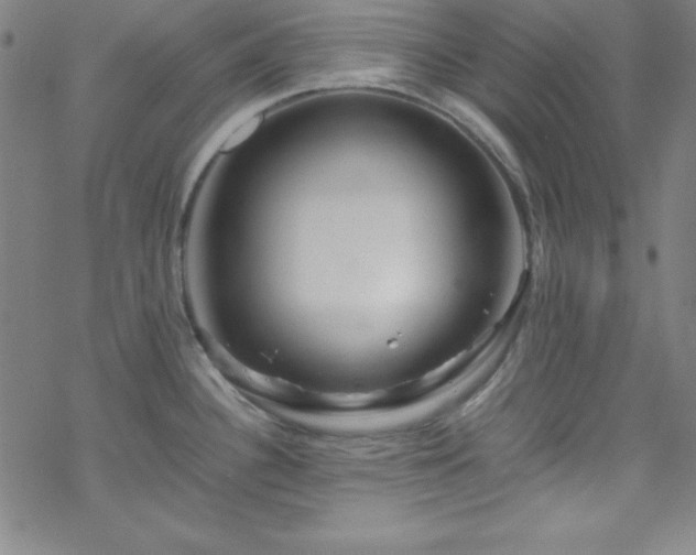 X0000070191340200606021048